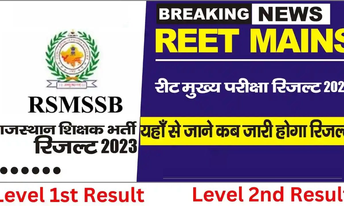 result of reet main exam