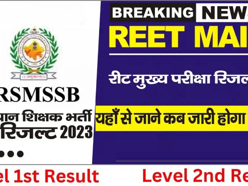 result of reet main exam