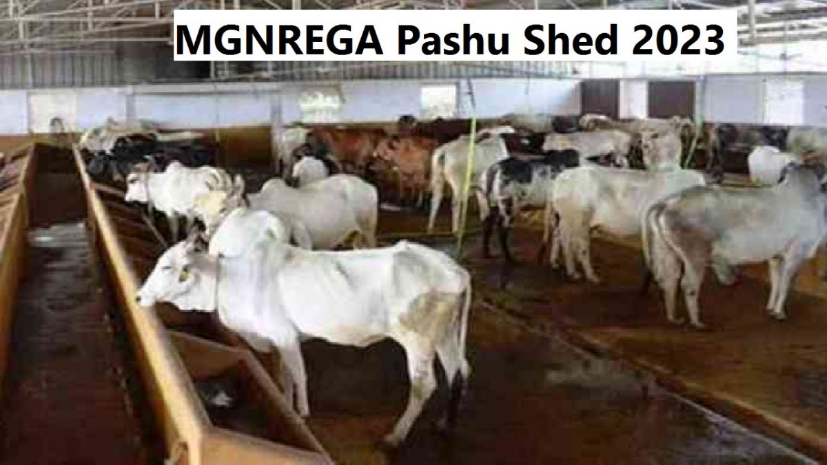 MGNREGA Pashu Shed 2023