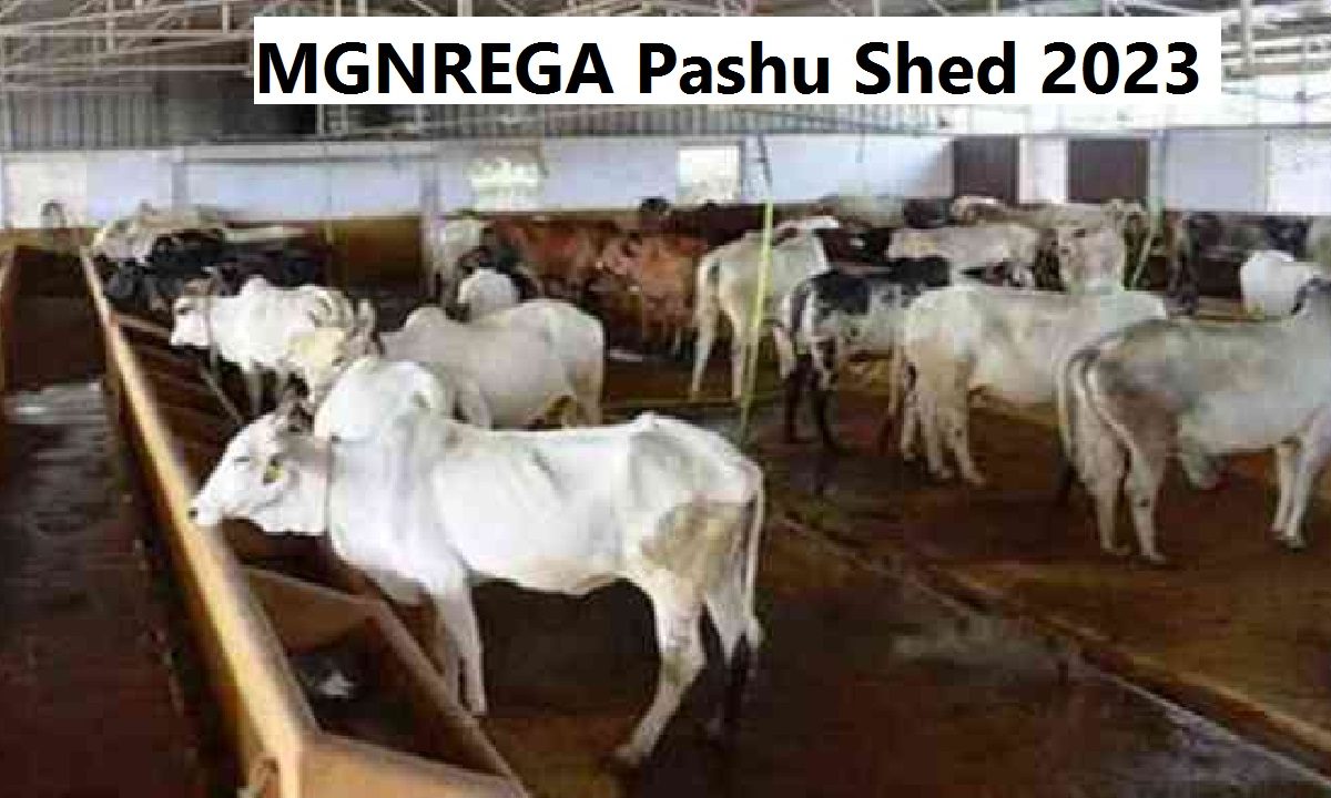 MGNREGA Pashu Shed 2023