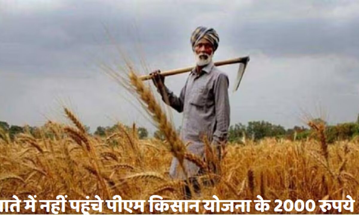 PM Kisan Yojana