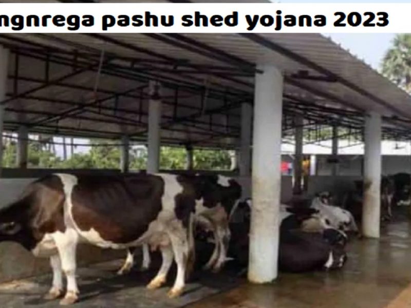 mgnrega pashu shed yojana 2023