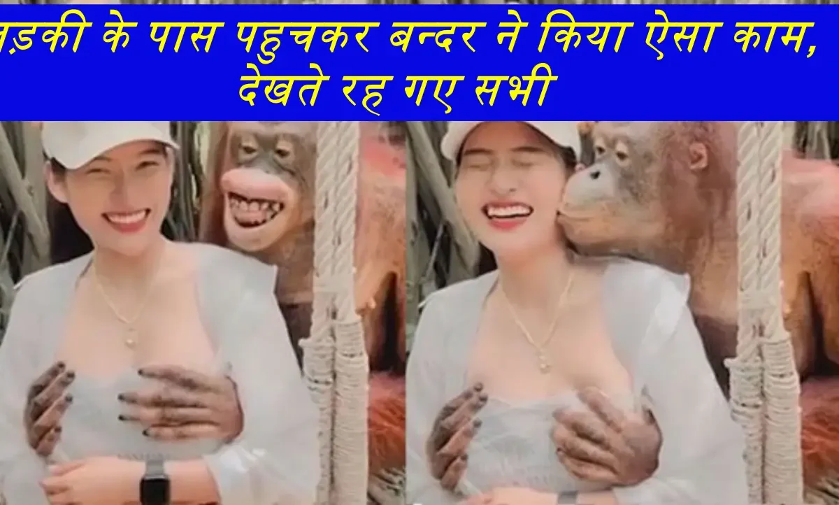 Bandar Ka Video: