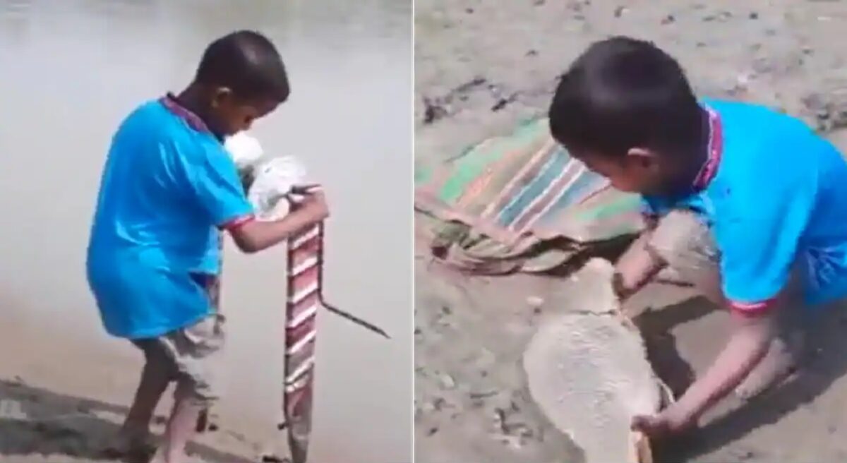 Boy Fishing Viral Video