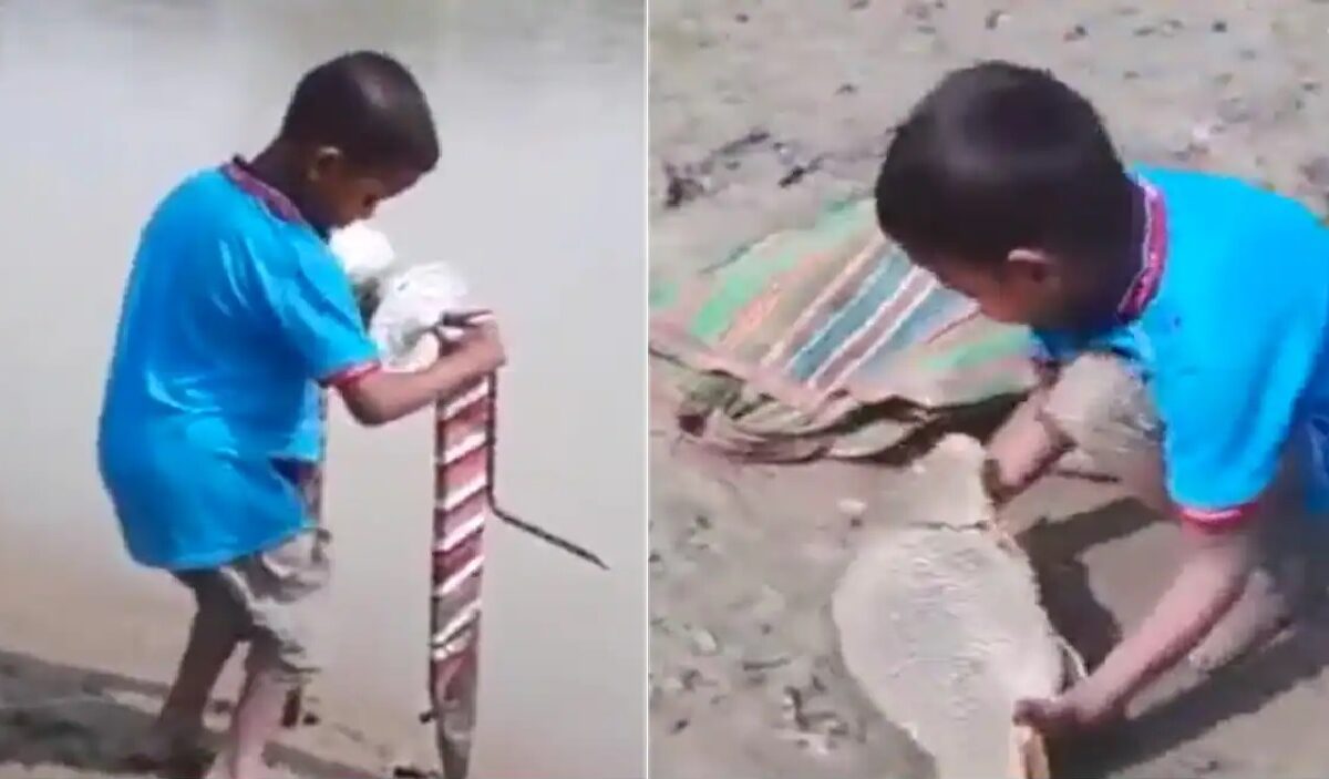 Boy Fishing Viral Video