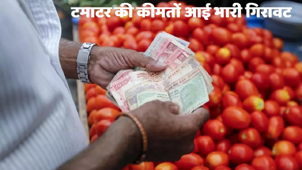 Tomato Price fall