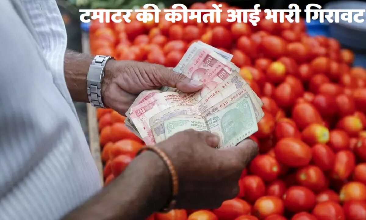 Tomato Price fall