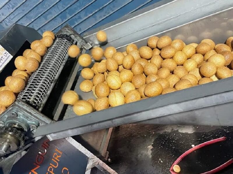 Gol gappas were being made in the factory