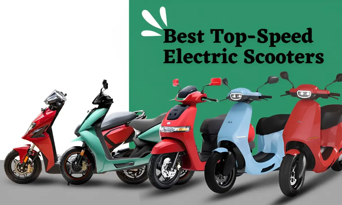 Popular Electric Scooter 