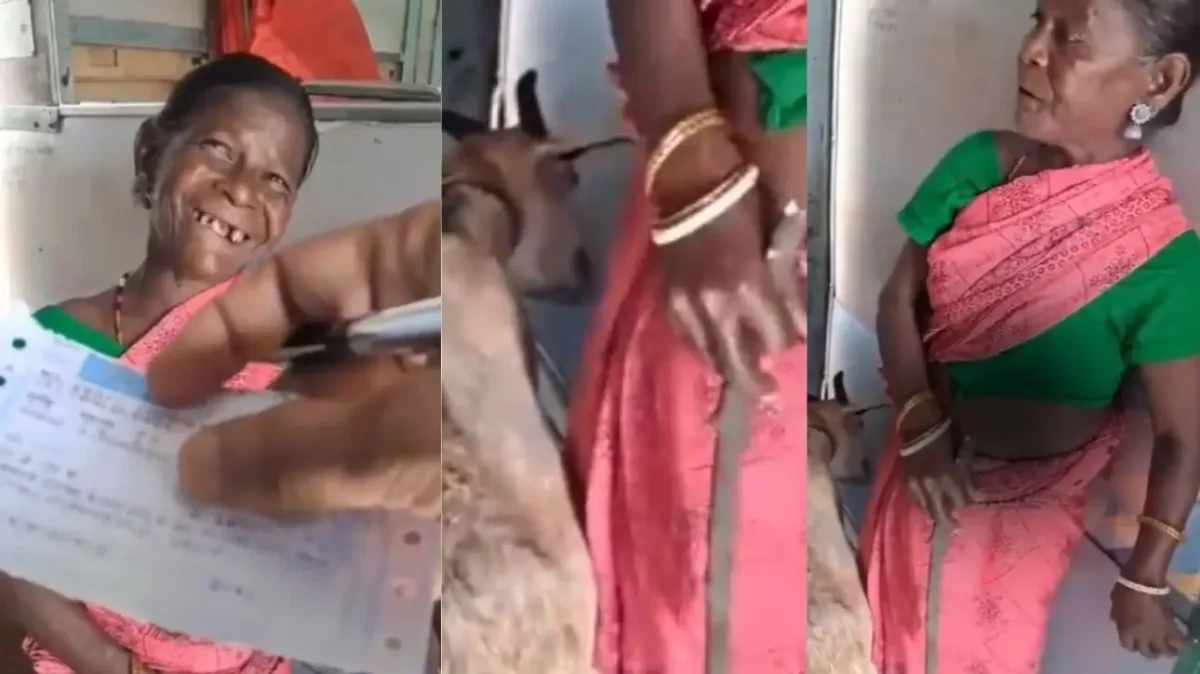 Viral Goat video