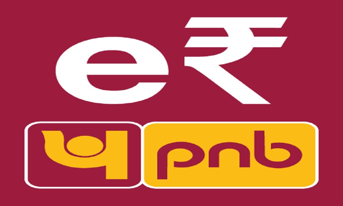 pnb digital rupee app