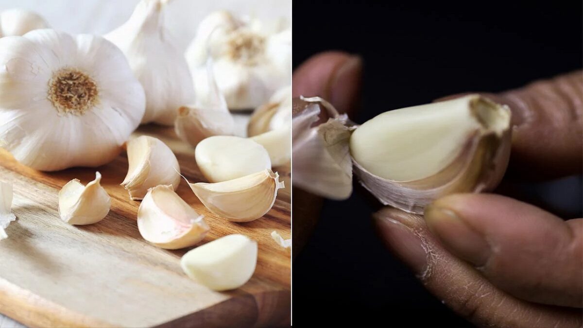 Fake garlic made in China