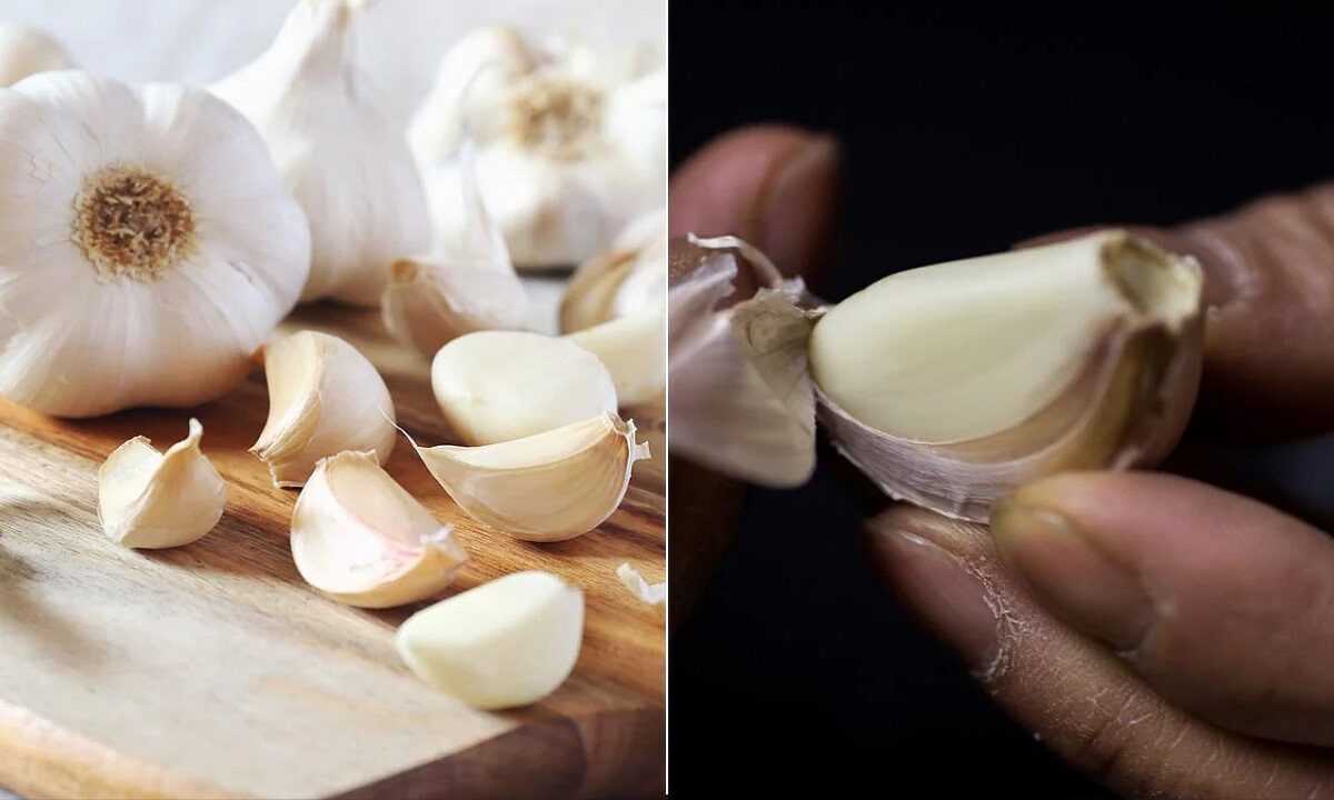 Fake garlic made in China