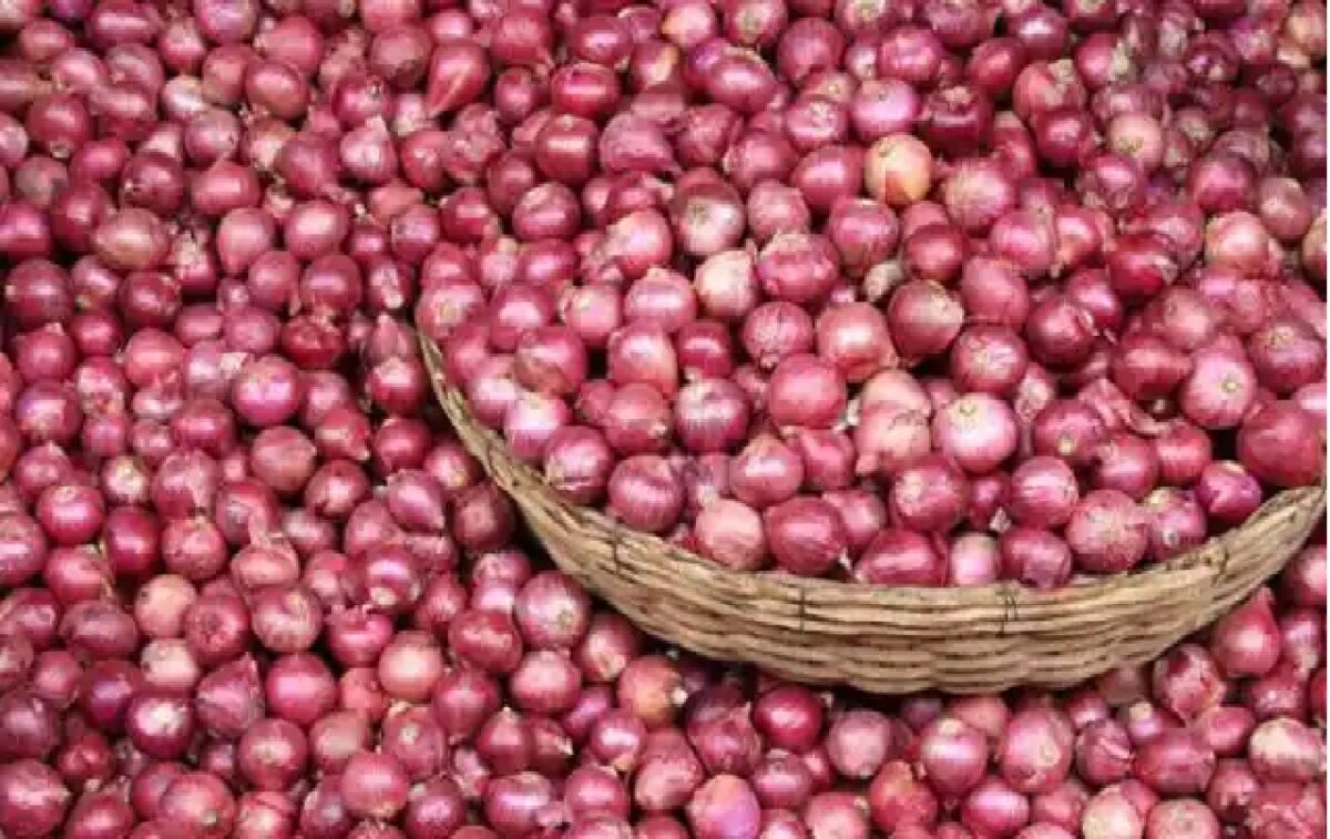 Onion Price Today