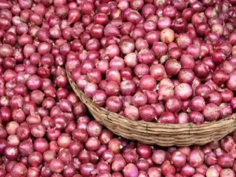 Onion Price Today