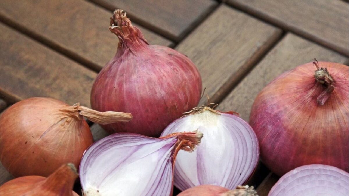 Onion