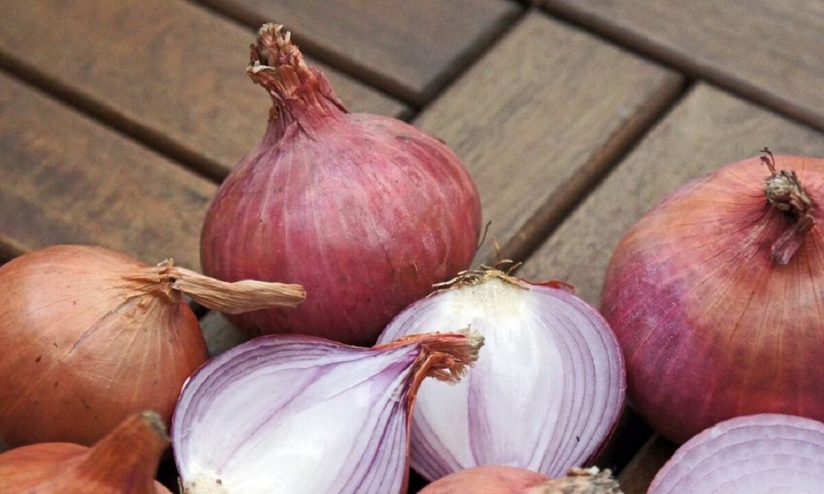 Onion