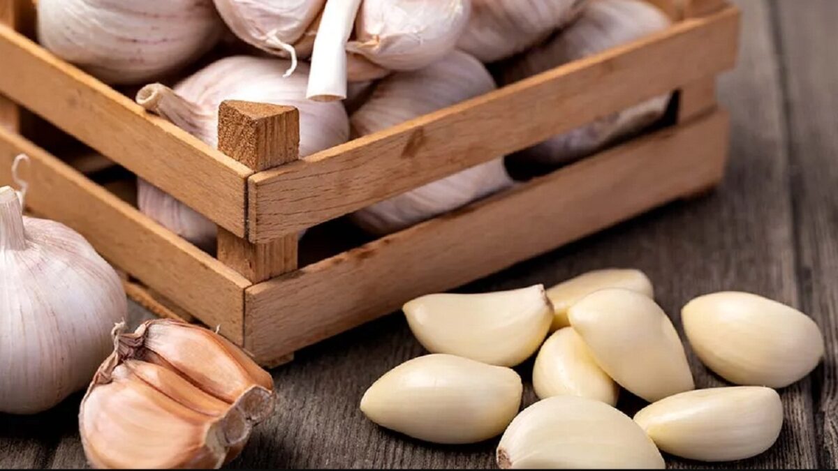 garlic benefits