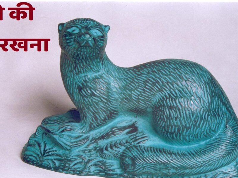 mongoose statue in home