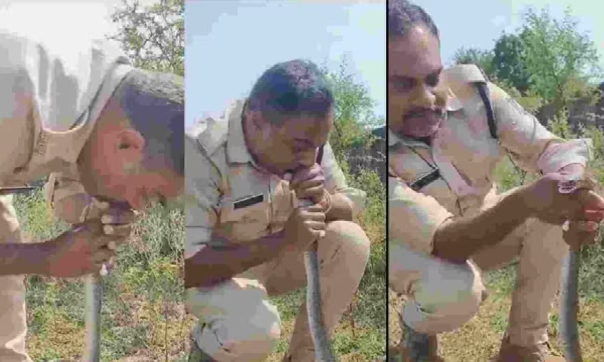 Policeman Saved Snakes Life By Giving-CPR