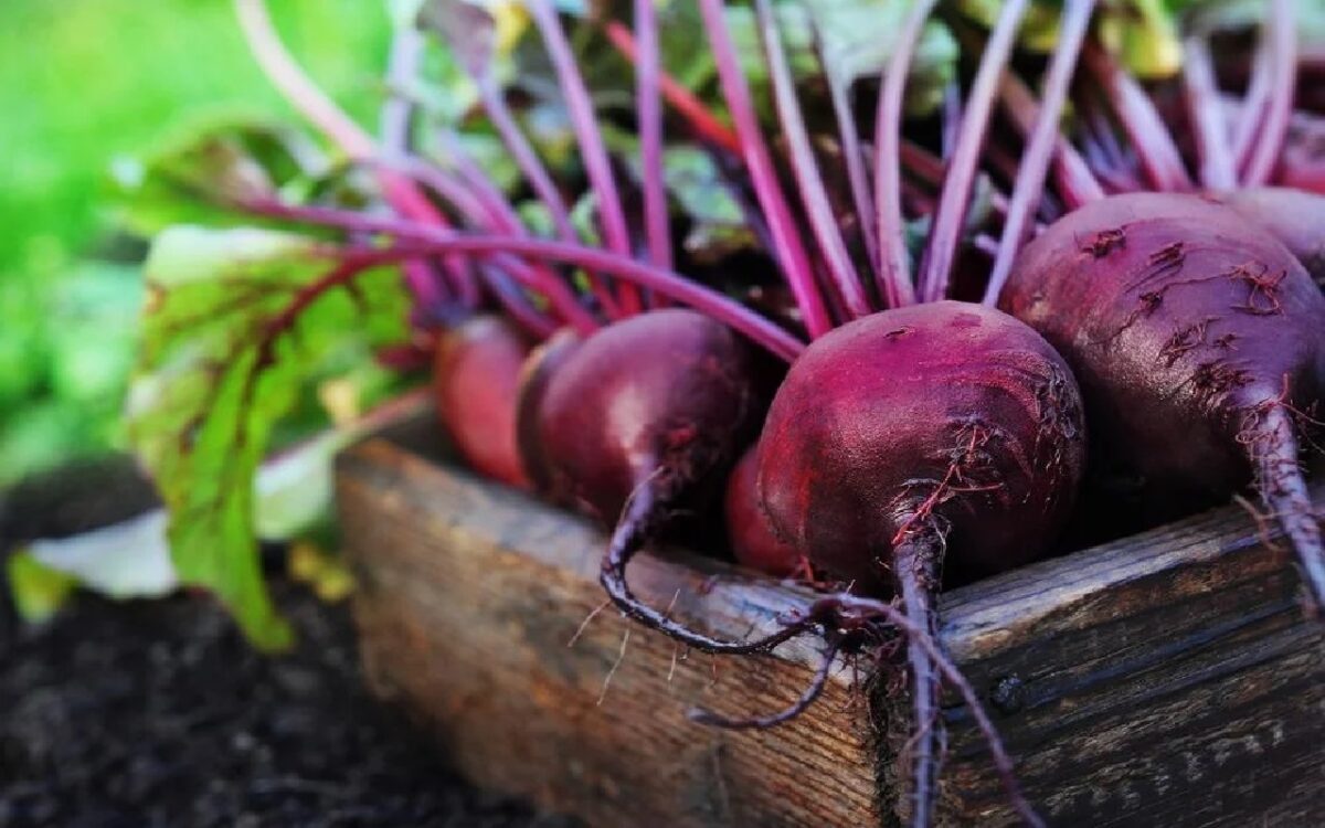 Benefits Of Beetroot Juice