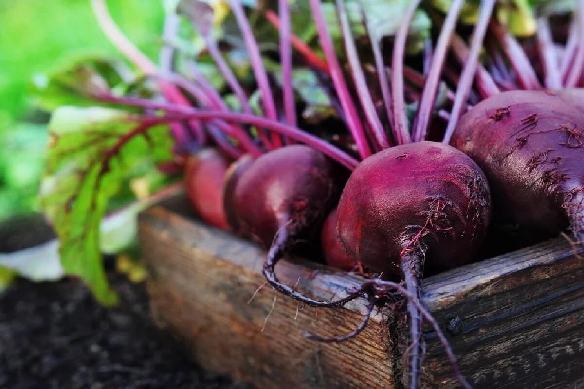 Benefits Of Beetroot Juice