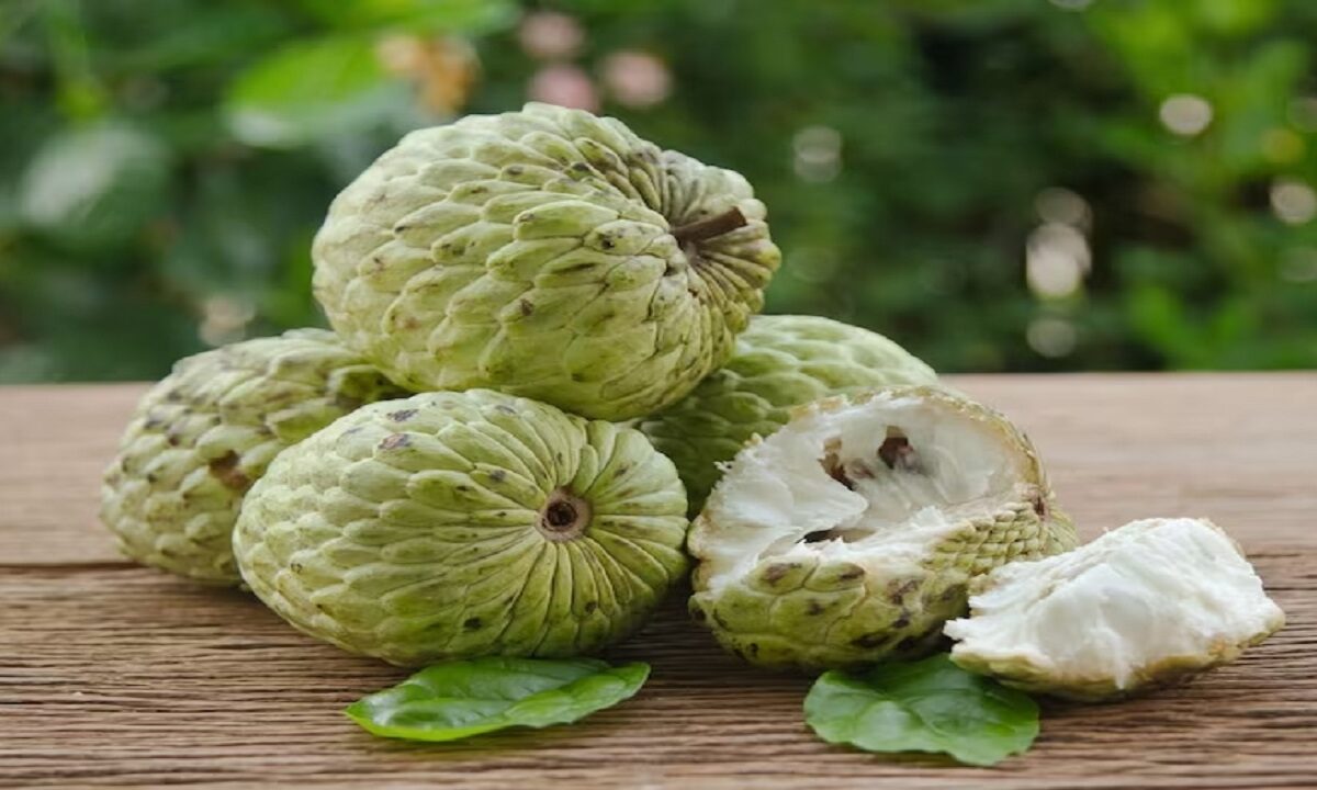 Benefits of Custard Apple