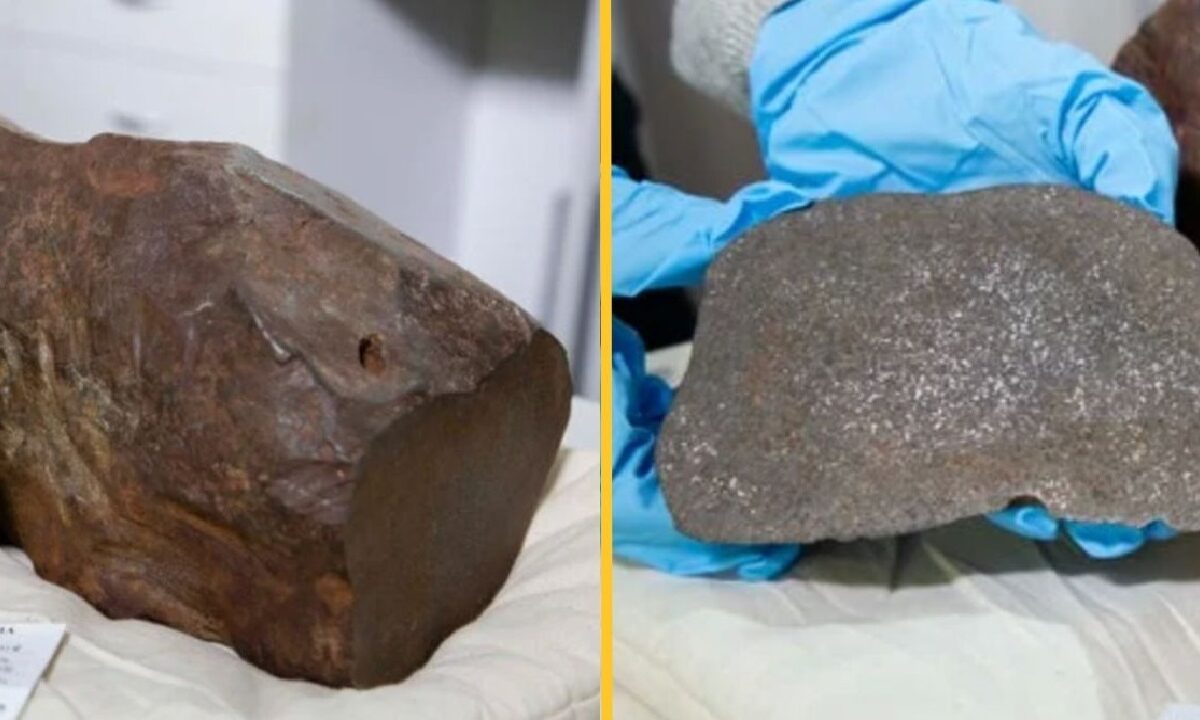 Man Keeps Rock For Years Thinking Its Gold Turned Out More Valuable Rare Meteorite