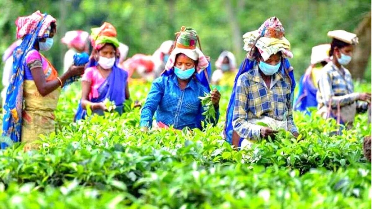 Women Farmers Will Get Gift By PM Modi