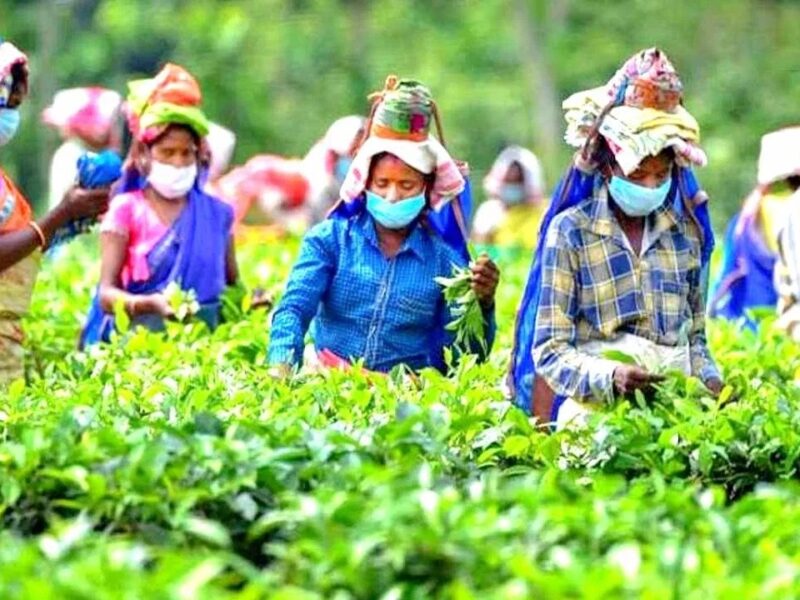 Women Farmers Will Get Gift By PM Modi