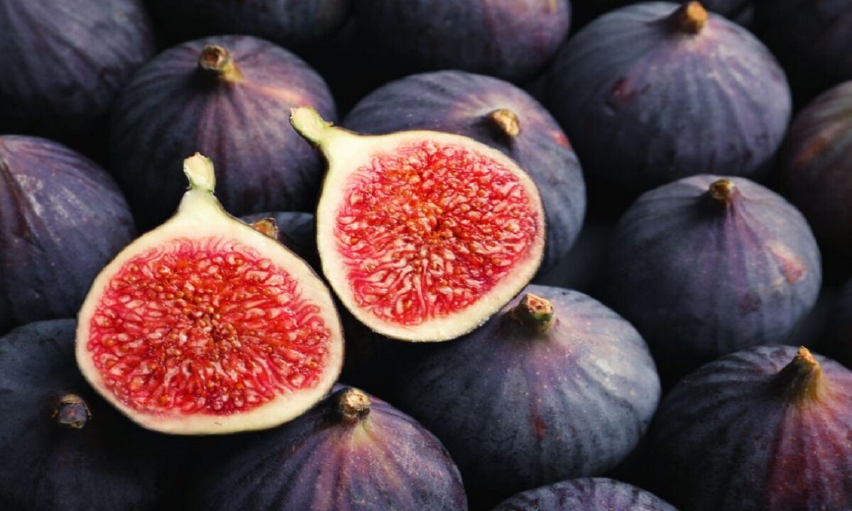 fig benefits