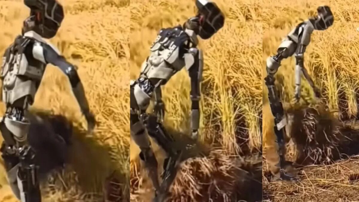 Robot Farming