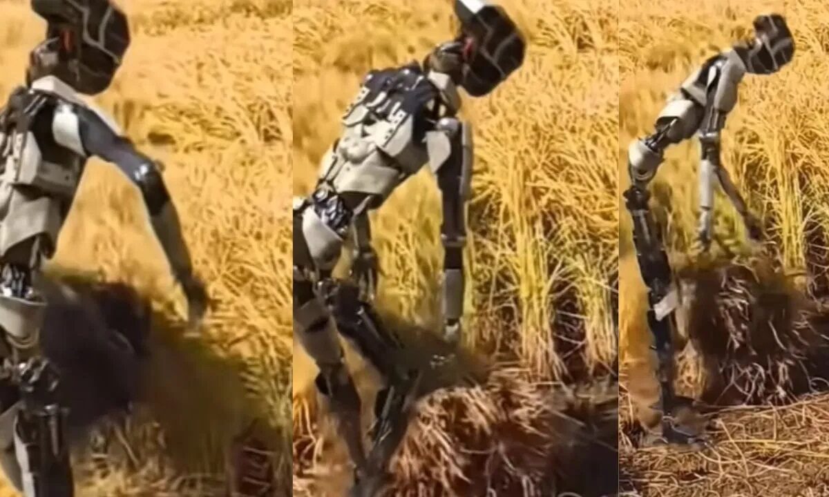 Robot Farming