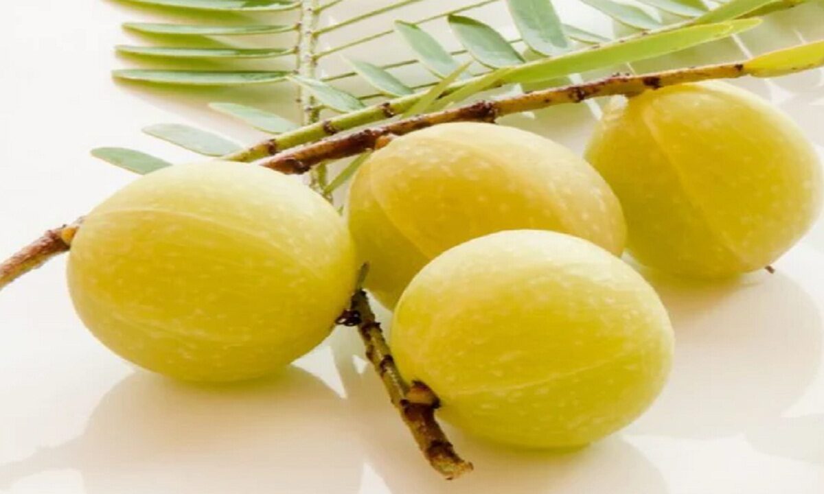 benefits of amla