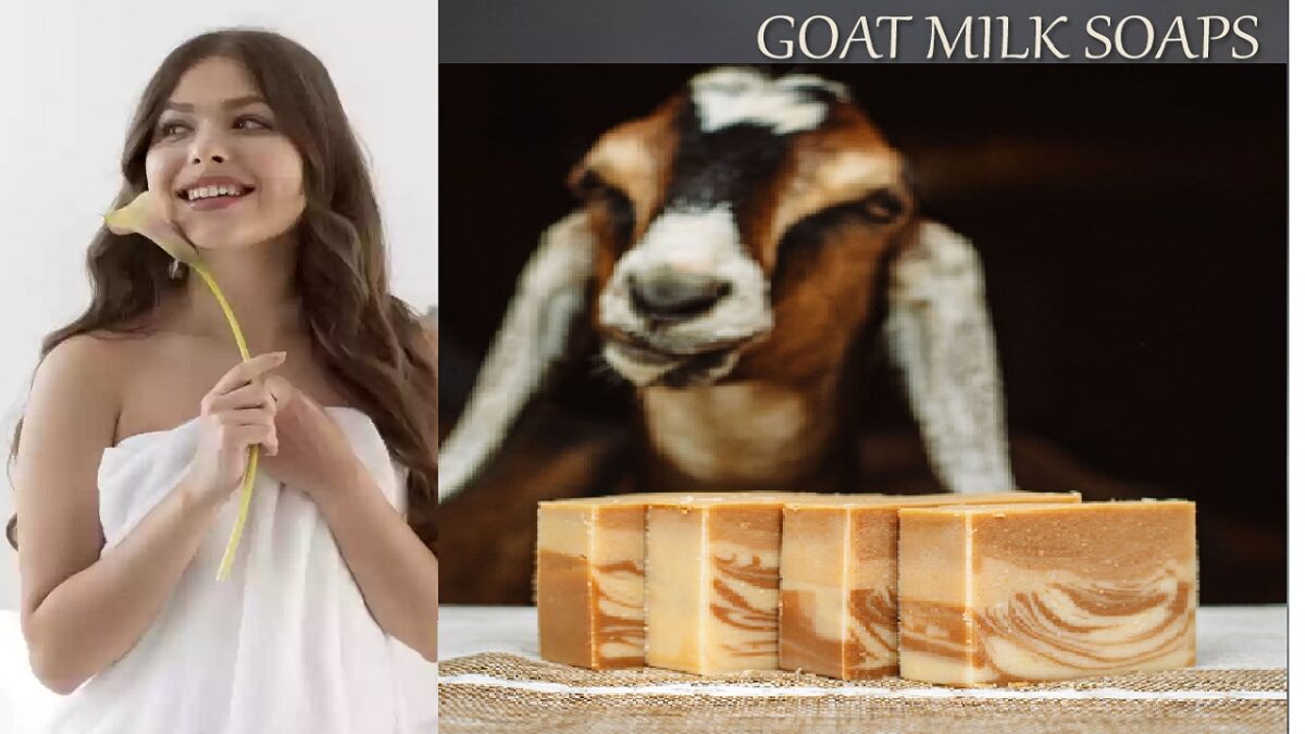 goat milk soap