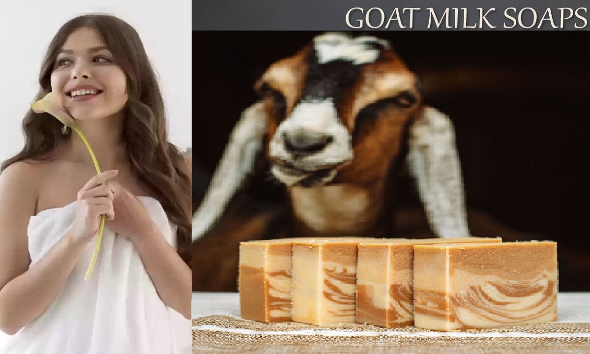 goat milk soap