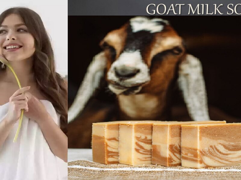 goat milk soap