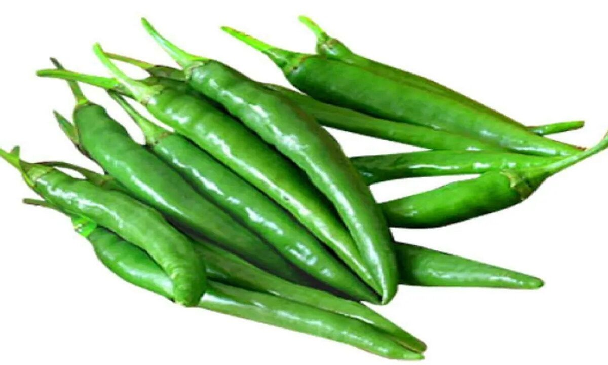 green chillies always fresh