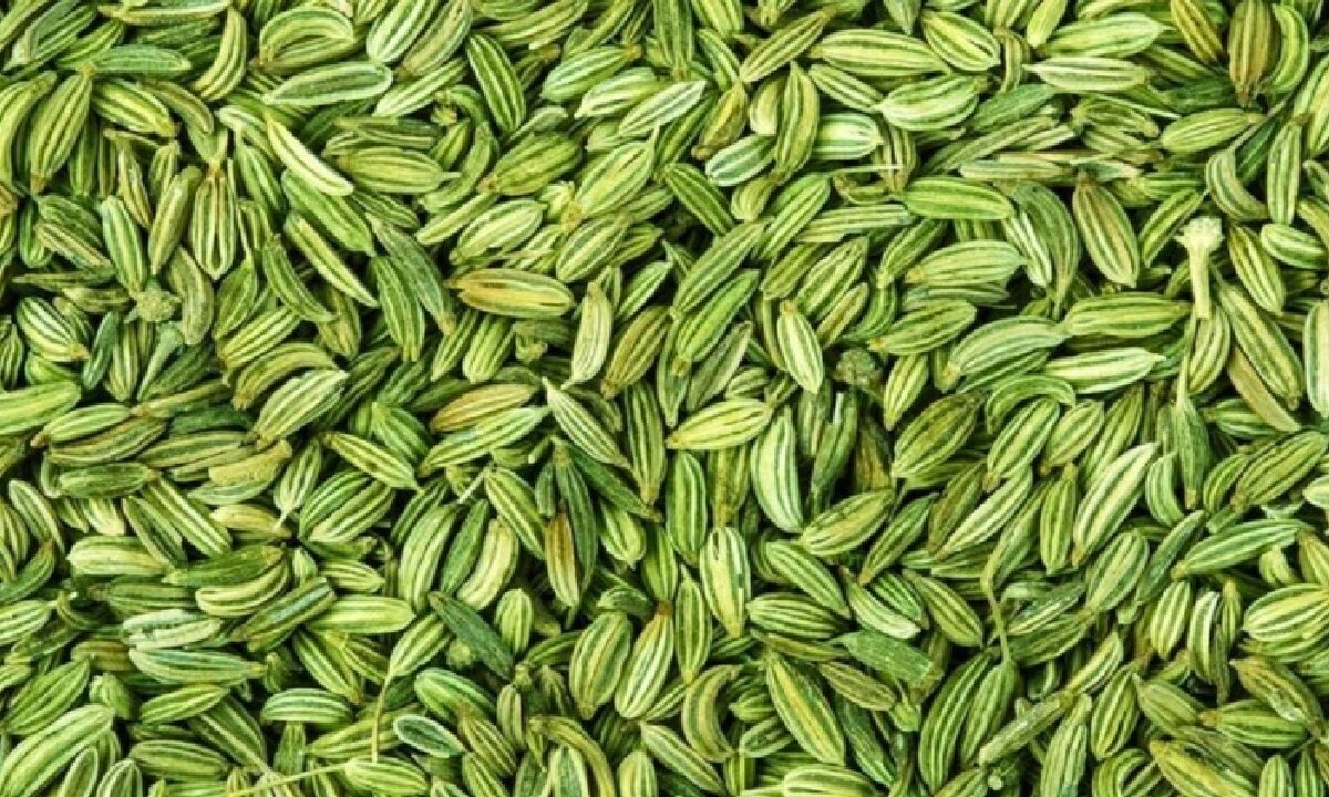 Loose Weight From Fennel Seeds