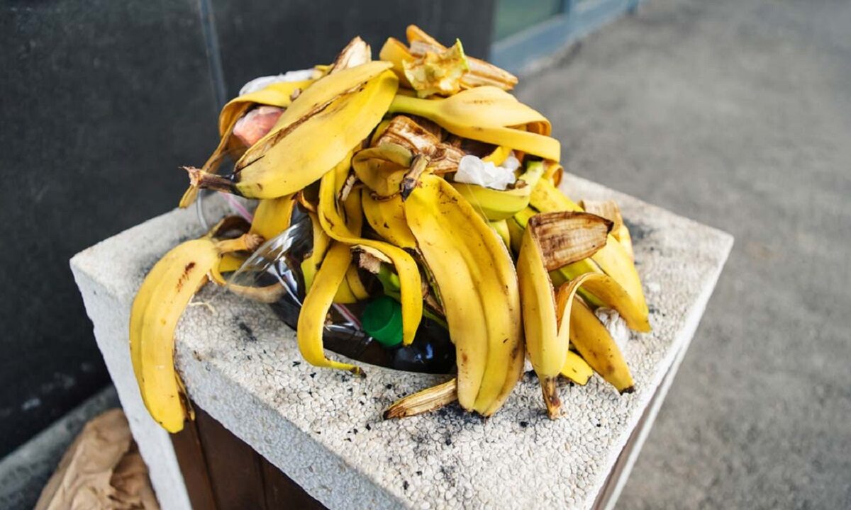 banana peel compost