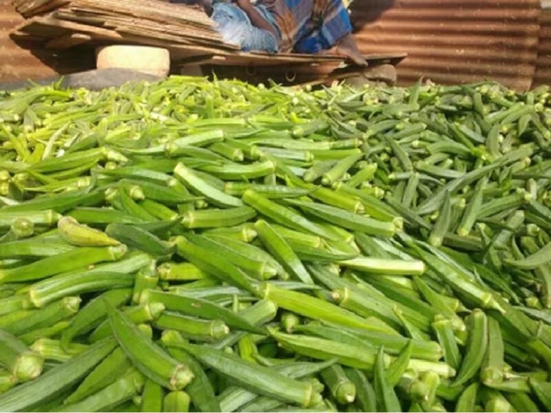 Jaipur Woman Shows Reality Of Green Ladyfingers