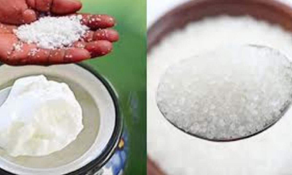 sugar or salt in curd