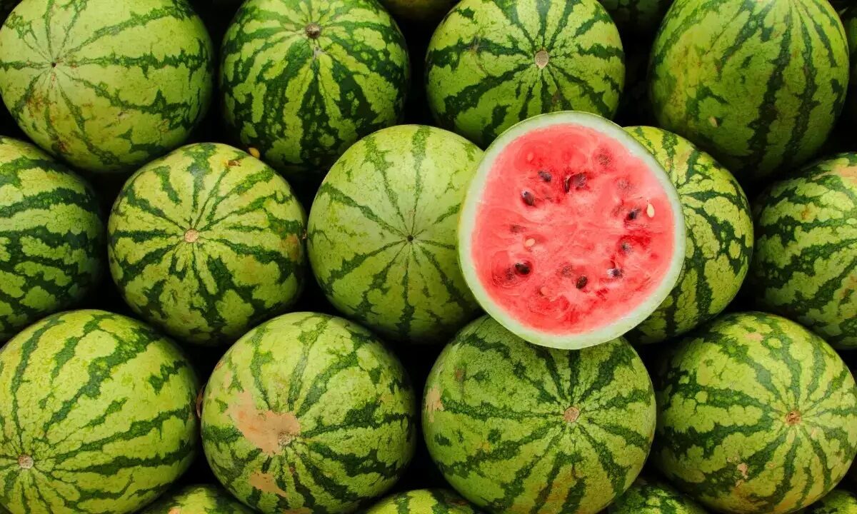 Do Not Keep Watermelon In Freeze