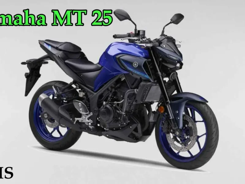 Yamaha MT 25