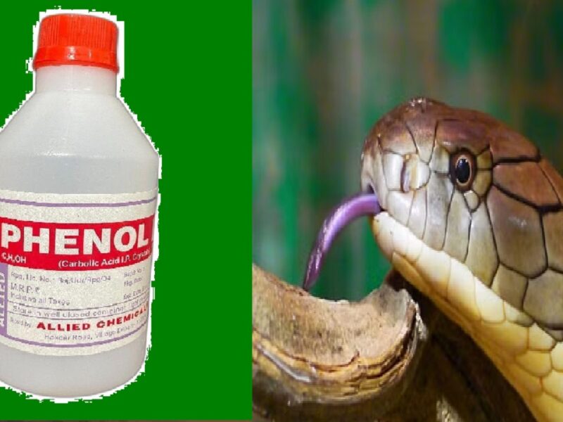 Liquid for snakes