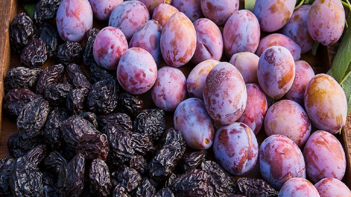 prunes dry fruit