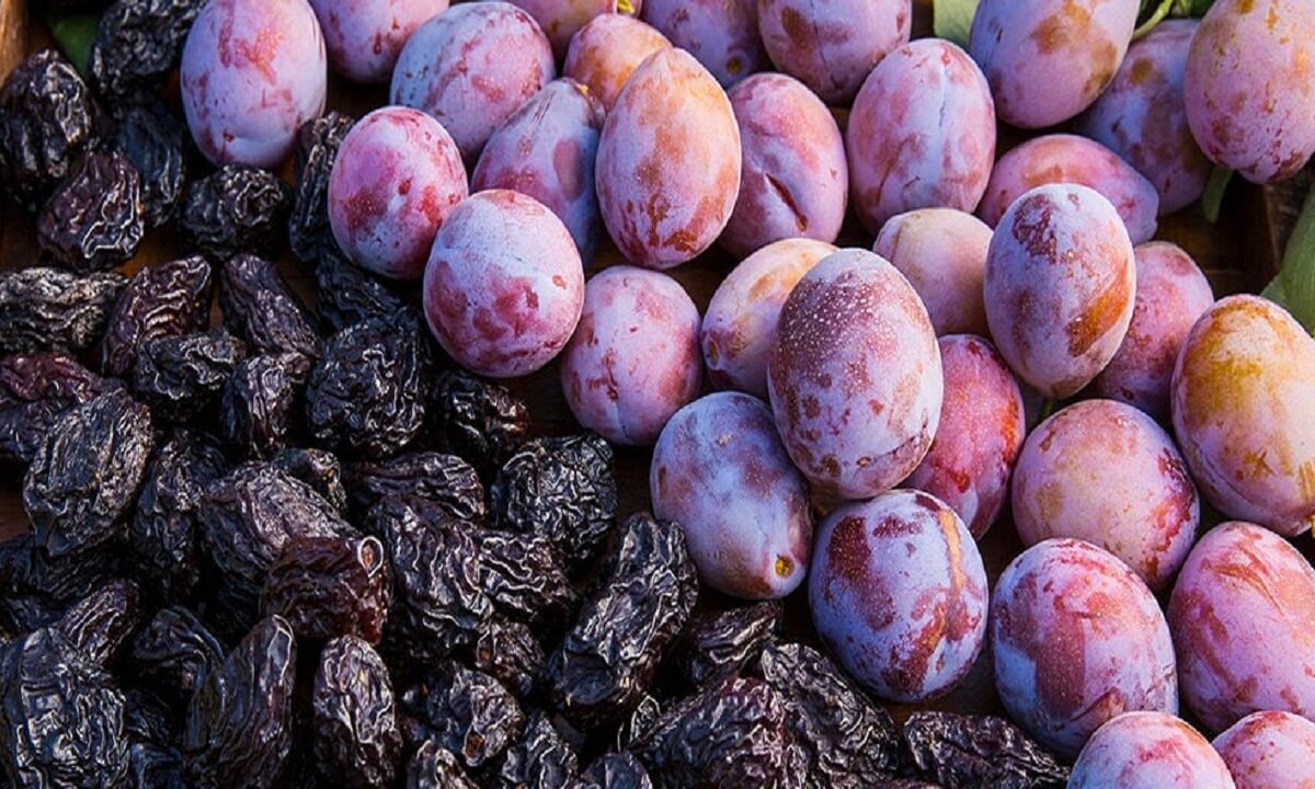 prunes dry fruit