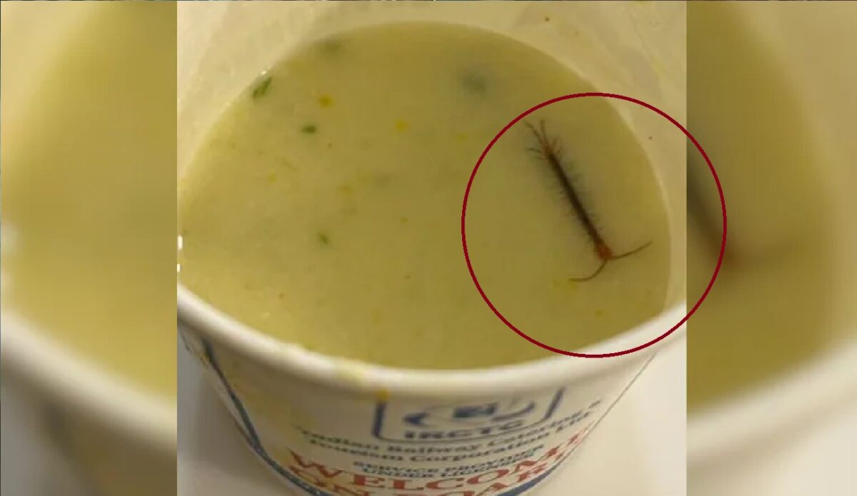 Live centipede seen in railway food