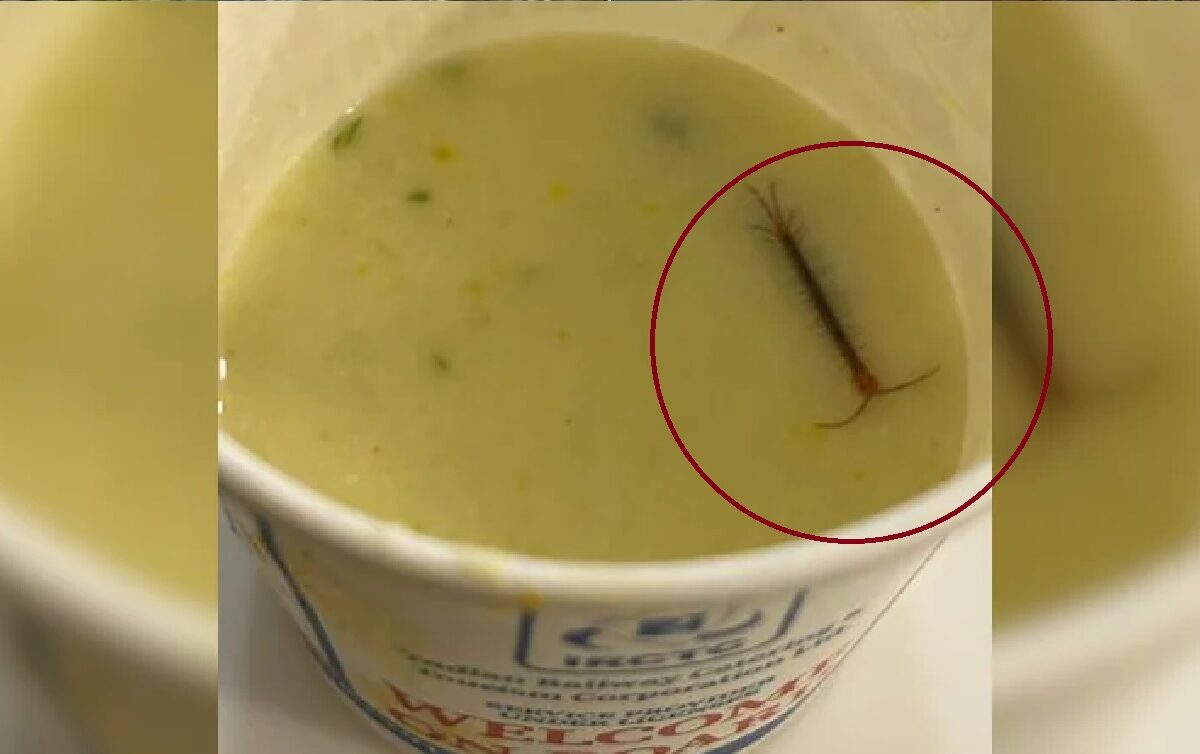 Live centipede seen in railway food