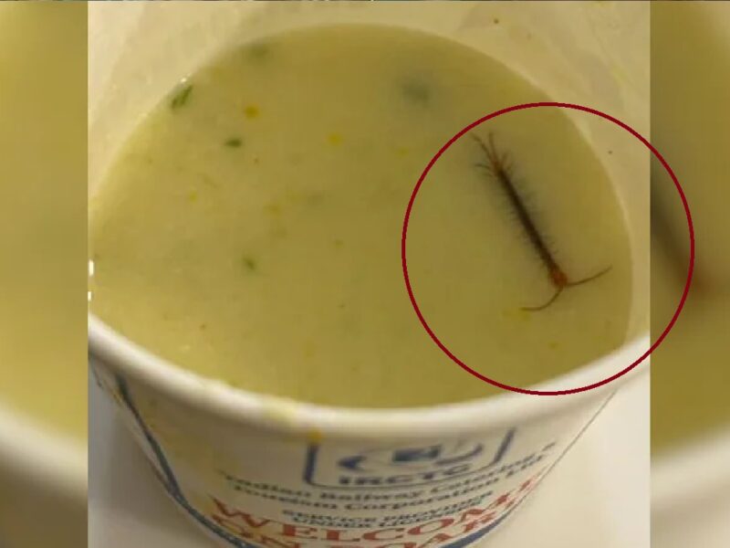 Live centipede seen in railway food